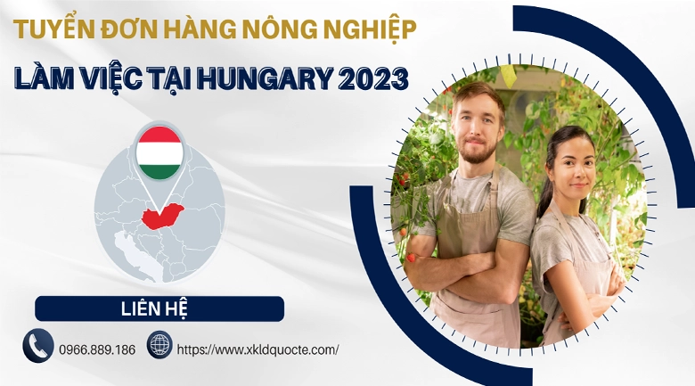 Xuất khẩu lao động Châu Âu- Tuyển thẳng đơn hàng nông nghiệp làm việc tại Hungary 2023