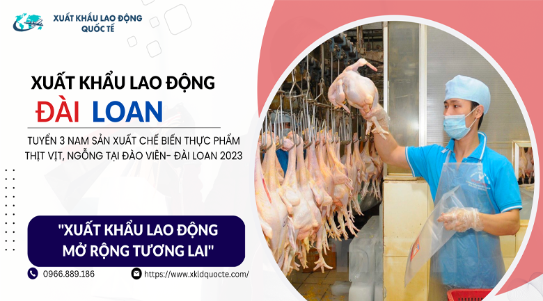 TUYỂN 3 NAM SẢN XUẤT CHẾ BIẾN THỰC PHẨM THỊT VỊT, NGỖNG TẠI ĐÀO VIÊN- ĐÀI LOAN 2023