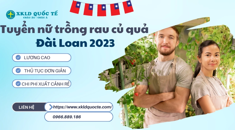 Xuất khẩu lao động Đài Loan - Tuyển nữ trồng rau củ quả trong nhà kính làm việc tại Đài Loan 2023