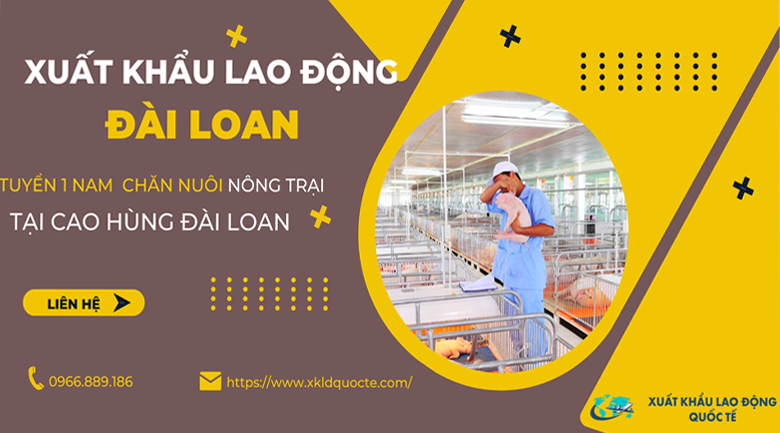 TUYỂN GẤP 1 NAM LÀM CHĂN NUÔI NÔNG TRẠI TẠI CAO HÙNG ĐÀI LOAN