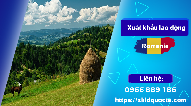 Những điều cần biết khi xuất khẩu lao động Rumani - Tuyển 50 lao động làm việc tại trang trại Rumani